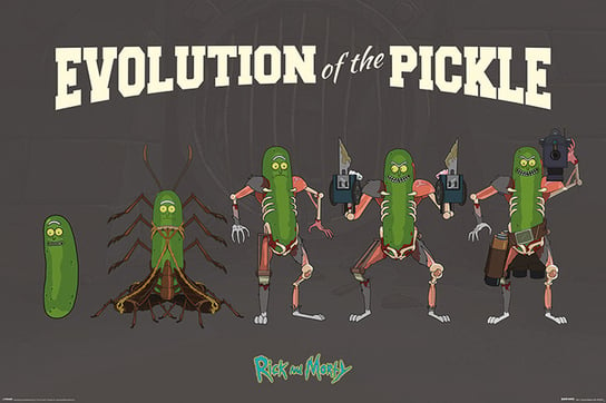 Plakat PYRAMID INTERNATIONAL, Rick And Morty Evolution Of The Pickle Post, 61x91 cm Pyramid International