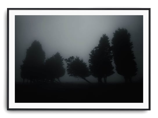 Plakat r 40x30 cm Las Droga Drzewa Mgła Printonia