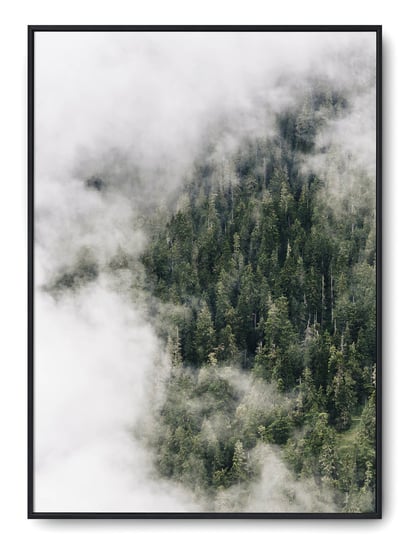 Plakat r 40x50 cm Krajobraz Góry Mgła Słońce Ziele Printonia