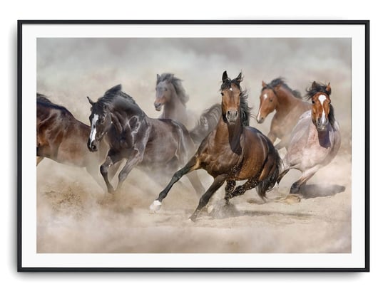 Plakat r 50x40 cm Zwierzęta Konie Koń Natura Printonia