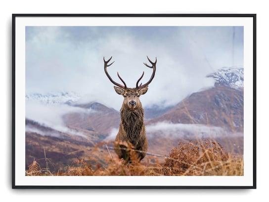 Plakat r 91x61 cm Jeleń Natura Zwierzę Góry Printonia