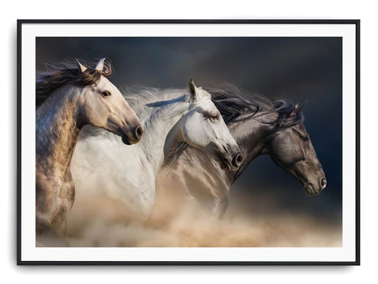 Plakat r 91x61 cm Zwierzęta Konie Koń Natura Printonia