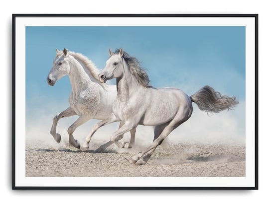 Plakat r 91x61 cm Zwierzęta Konie Koń Natura Printonia