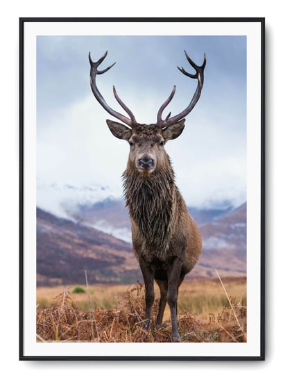 Plakat r A3 30x42 cm Jeleń Natura Zwierzę Góry Printonia