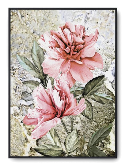 Plakat r A3 30x42 cm Kwiaty Róż Rośliny Natura Printonia
