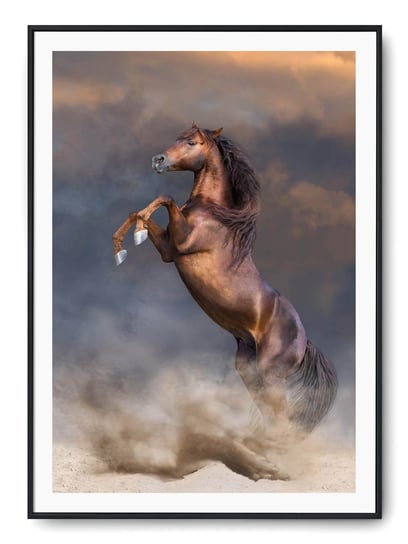 Plakat r A3 30x42 cm Zwierzęta Konie Koń Natura Printonia