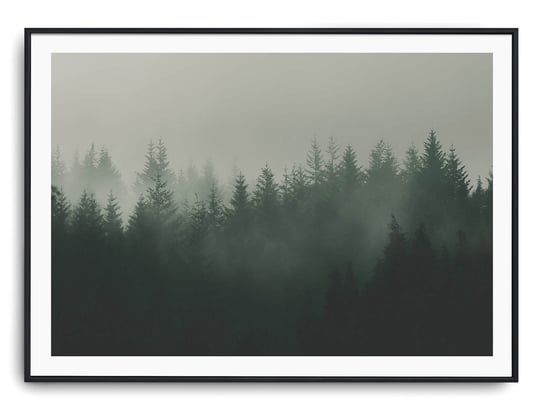 Plakat r A3 42x30 cm Las Droga Drzewa Mgła Printonia