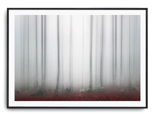 Plakat r A3 42x30 cm Mgła Las Drzewa Natura Printonia