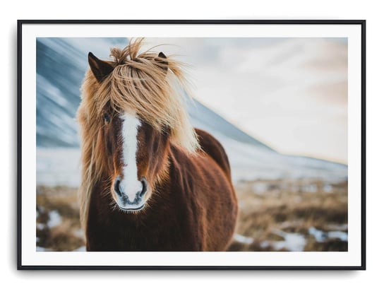 Plakat r A3 42x30 cm Zwierzęta Konie Koń Natura Printonia