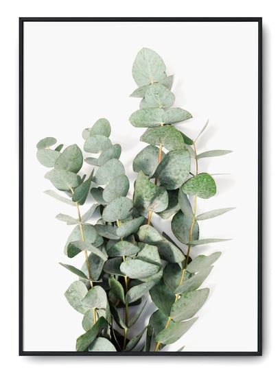 Plakat r A4 21x30 cm Rośliny Kwiaty Zieleń Natura Printonia