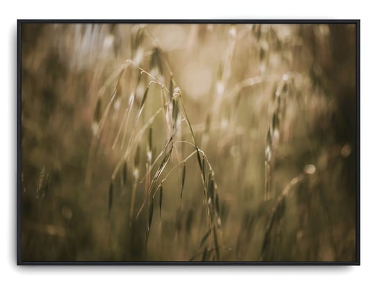 Plakat r A4 30x21 cm Boho Natura Botanik Trawa Roś Printonia