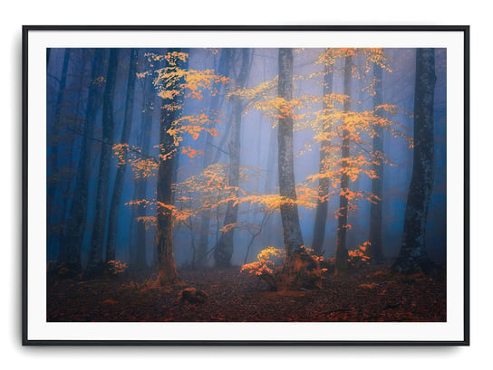 Plakat r A4 30x21 cm Las Droga Drzewa Mgła Printonia