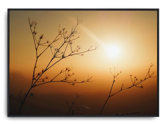 Plakat r A4 30x21 cm Natura Drzewo Wiosna Słońce Printonia