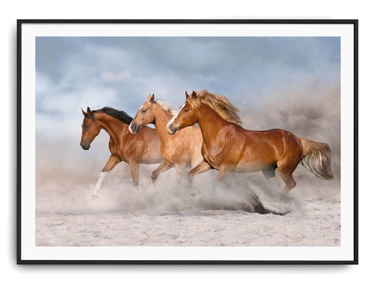 Plakat r A4 30x21 cm Zwierzęta Konie Koń Natura Printonia