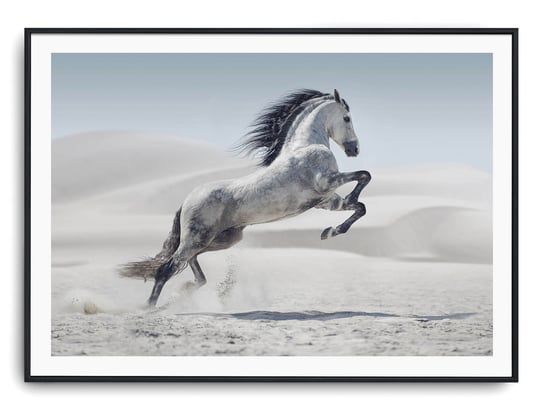 Plakat r A4 30x21 cm Zwierzęta Konie Koń Natura Printonia