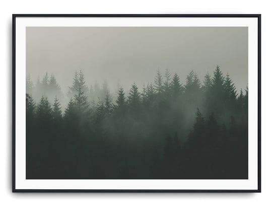 Plakat r B1 100x70 cm Las Droga Drzewa Mgła Printonia