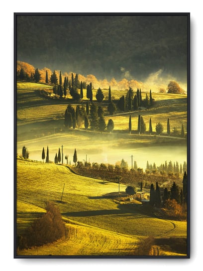 Plakat r B1 70x100 cm Toskania Włochy Italia Słońc Printonia