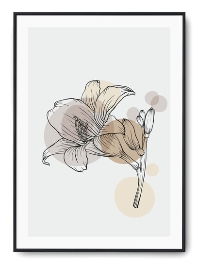 Plakat r B2 50x70 cm Grafika Geometria Kwiaty Boho Printonia