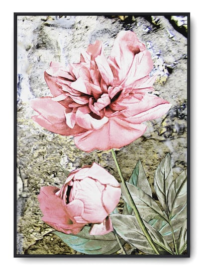 Plakat r B2 50x70 cm Kwiaty Róż Rośliny Natura Printonia