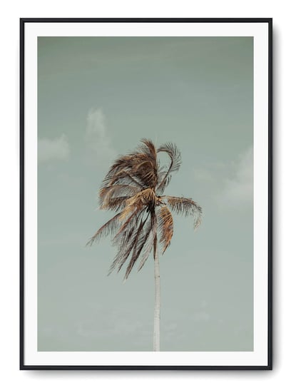 Plakat r B2 50x70 cm Palma Plaża Wakacje Lato Printonia