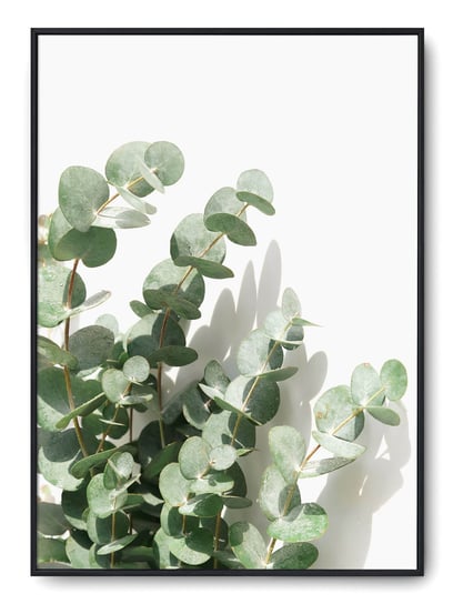 Plakat r B2 50x70 cm Rośliny Kwiaty Zieleń Natura Printonia