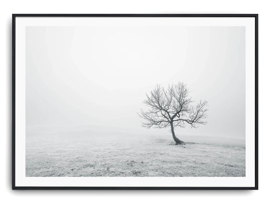 Plakat r B2 70x50 cm Drzewo Pole Natura Czerń Biel Printonia
