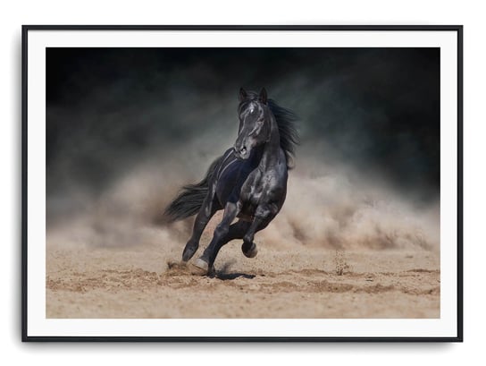 Plakat r B2 70x50 cm Zwierzęta Konie Koń Natura Printonia
