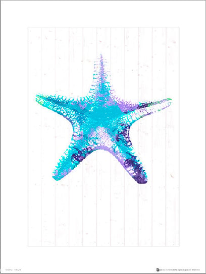 Plakat, Seaside Starfish Blue, 30x40 cm Inna marka