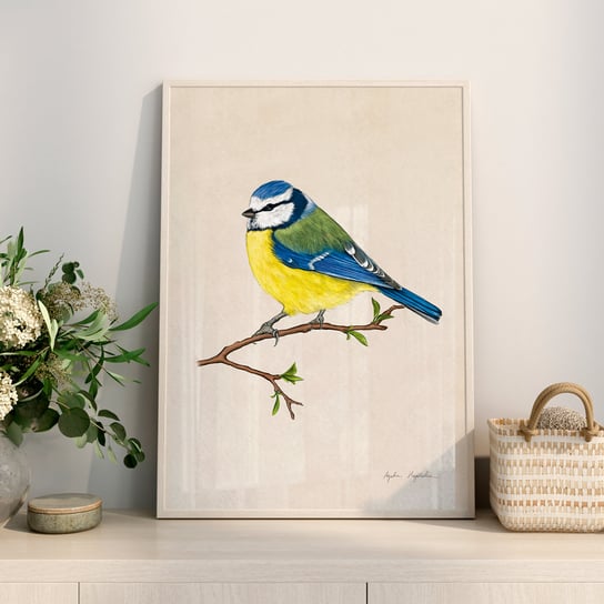 Plakat sikorka modraszka na gałązce 21x30 cm, ptaki, autorska ilustracja TukanMedia