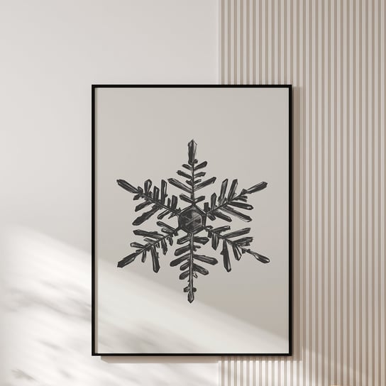 Plakat Snowflake MUYBIEN