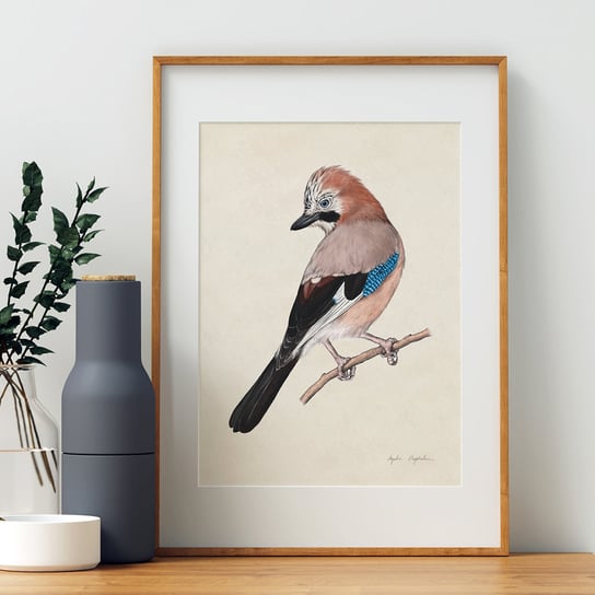Plakat Sójka 30x40 cm, polskie ptaki, zwierzęta, autorska ilustracja, dekoracja do sypialni, poster TukanMedia