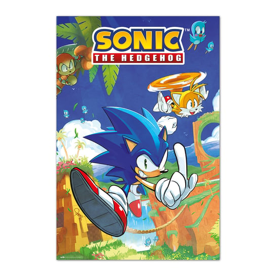 Plakat Sonic The Hedgehog - Sonic I Tails Grupo Erik
