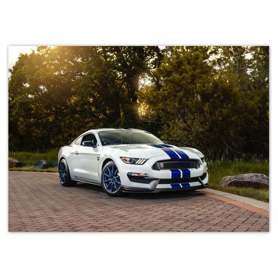 Plakat Sportowy Ford Mustang, 70x50 cm ZeSmakiem