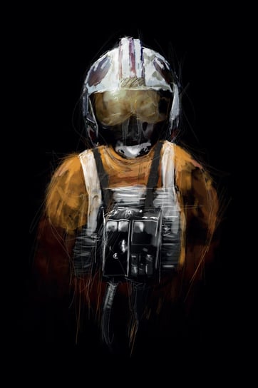 Plakat, Star Wars Gwiezdne Wojny Rebel Pilot, 50x70 cm reinders