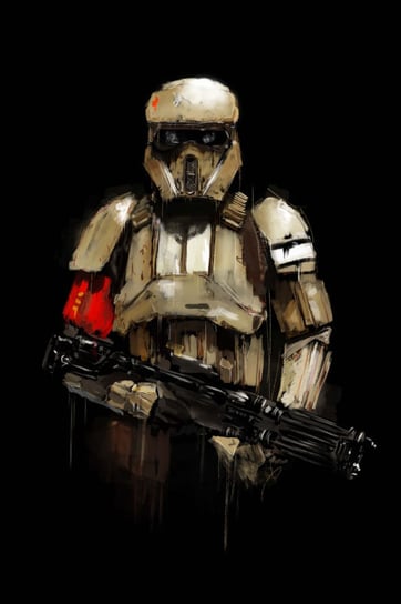 Plakat, Star Wars Gwiezdne Wojny Szturmowiec, 60x80 cm reinders