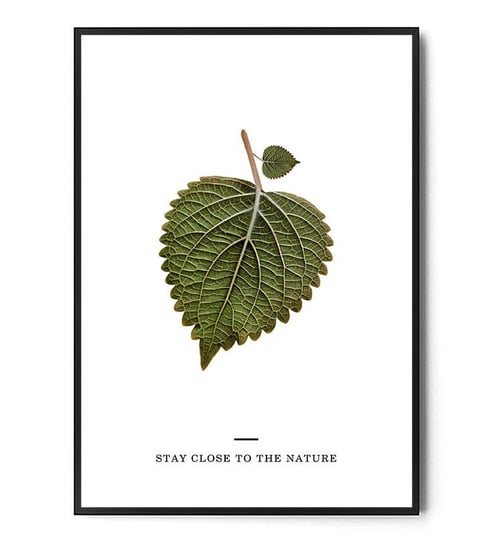 PLAKAT STAY CLOSE TO NATURE NO.1 FOX ART STUDIO