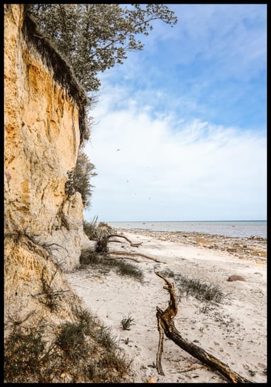 Plakat strome wybrzeże w Gollwitzer Strand, woda, plaża, piasek, rozmiar 70x100 cm Inna marka