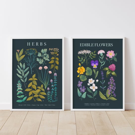 Plakat STUDIO STONKA, "Herbs" i "Edible Flower Studio Stonka