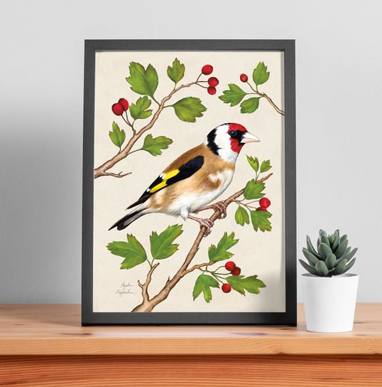 Plakat Szczygieł z tłem 21x30, autorska ilustracja, dekoracja, polskie ptaki, zwierzęta TukanMedia