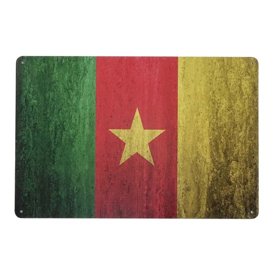 Plakat Tabliczka Dekoracyjna Metalowa Flaga Kamerunu Rustykalne Uchwyt