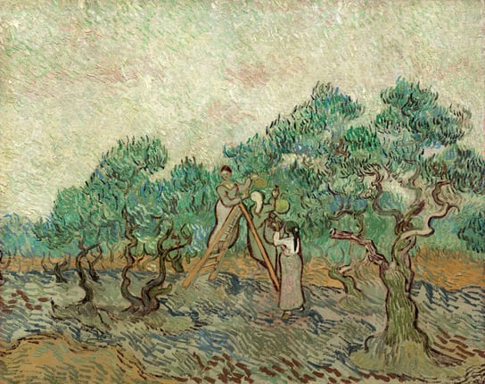 Plakat, The Olive Orchard, Vincent van Gogh, 29,7x21 cm reinders