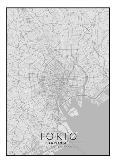 Plakat, Tokio mapa czarno biała, 29,7x42 cm reinders