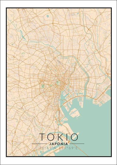 Plakat, Tokio mapa kolorowa, 61x91,5 cm reinders