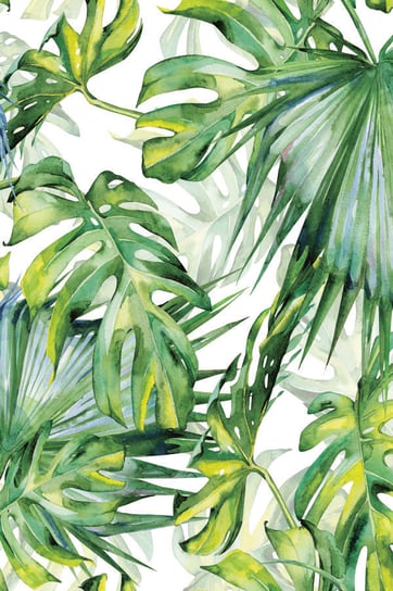 Plakat, Tropikalne liście, 42x59,4 cm reinders