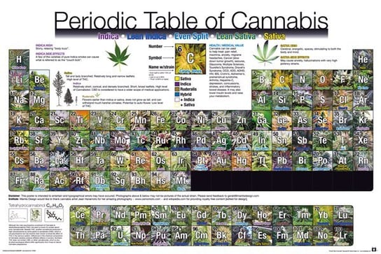 Plakat, Układ Okresowy Marihuany, 91,5x61 cm Inny producent