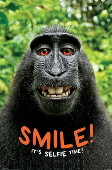 Plakat, Uśmiech! Czas na Selfie! - Małpa, 61x91,5 cm Pyramid Posters