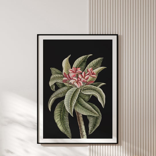 Plakat vintage - botaniczna ilustracja no.2 30x40 cm MUYBIEN