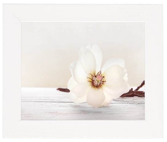 Plakat w białej ramie, 20x25 cm- Flower 11 POSTERGALERIA