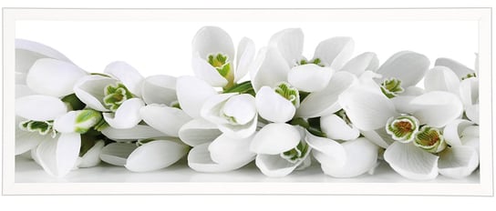 Plakat w białej ramie, 50x140 cm- Flower 9 POSTERGALERIA