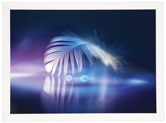 Plakat w białej ramie, 50x70 cm- Feather 1 POSTERGALERIA